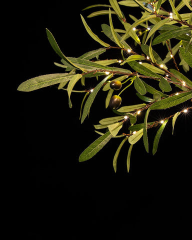 TYBEEU warm-white LEDs close-up for cozy glow on leaves.