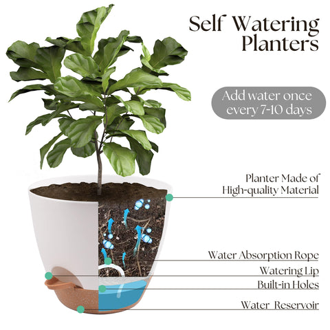 TYMENSH bottom watering lip clip enabling direct root access and easy level checks.