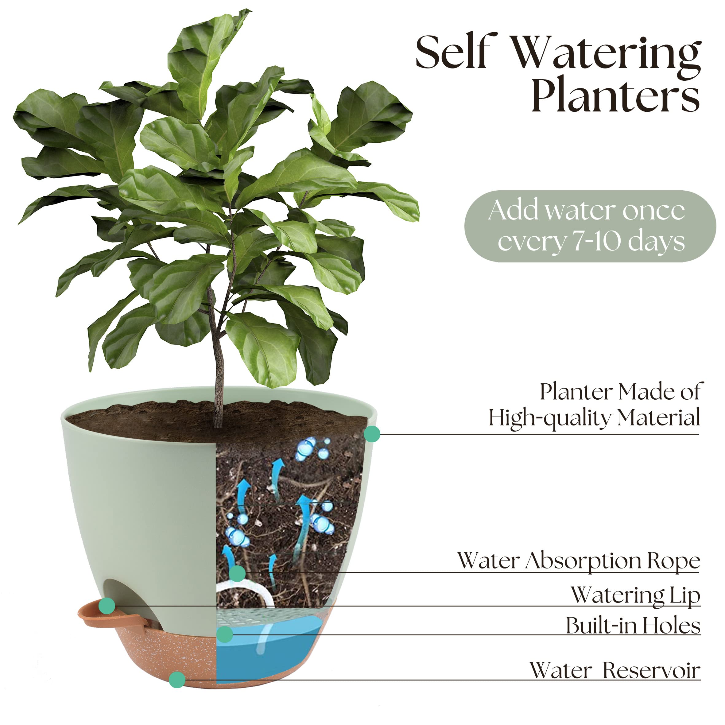 TYMENSH premium drainage design with multiple holes and a reservoir prevents overwatering.