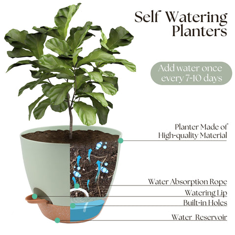 TYMENSH premium drainage design with multiple holes and a reservoir prevents overwatering.