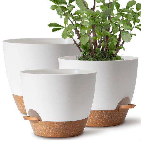 TYMENSH plant pots set in three sizes, front view for versatile indoor outdoor displays.