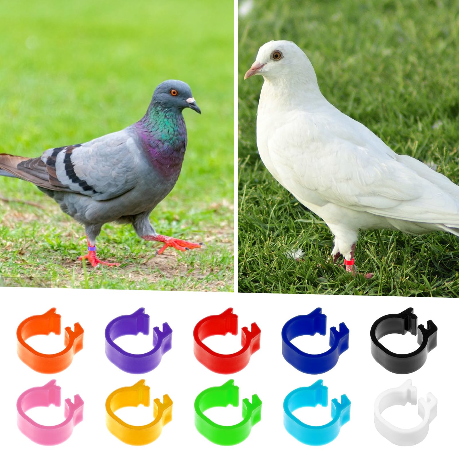 Tyqour 10-color pack highlights batch differences at a glance.