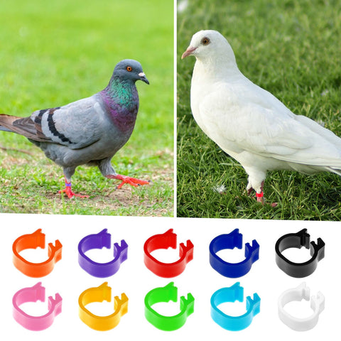 Tyqour 10-color pack highlights batch differences at a glance.