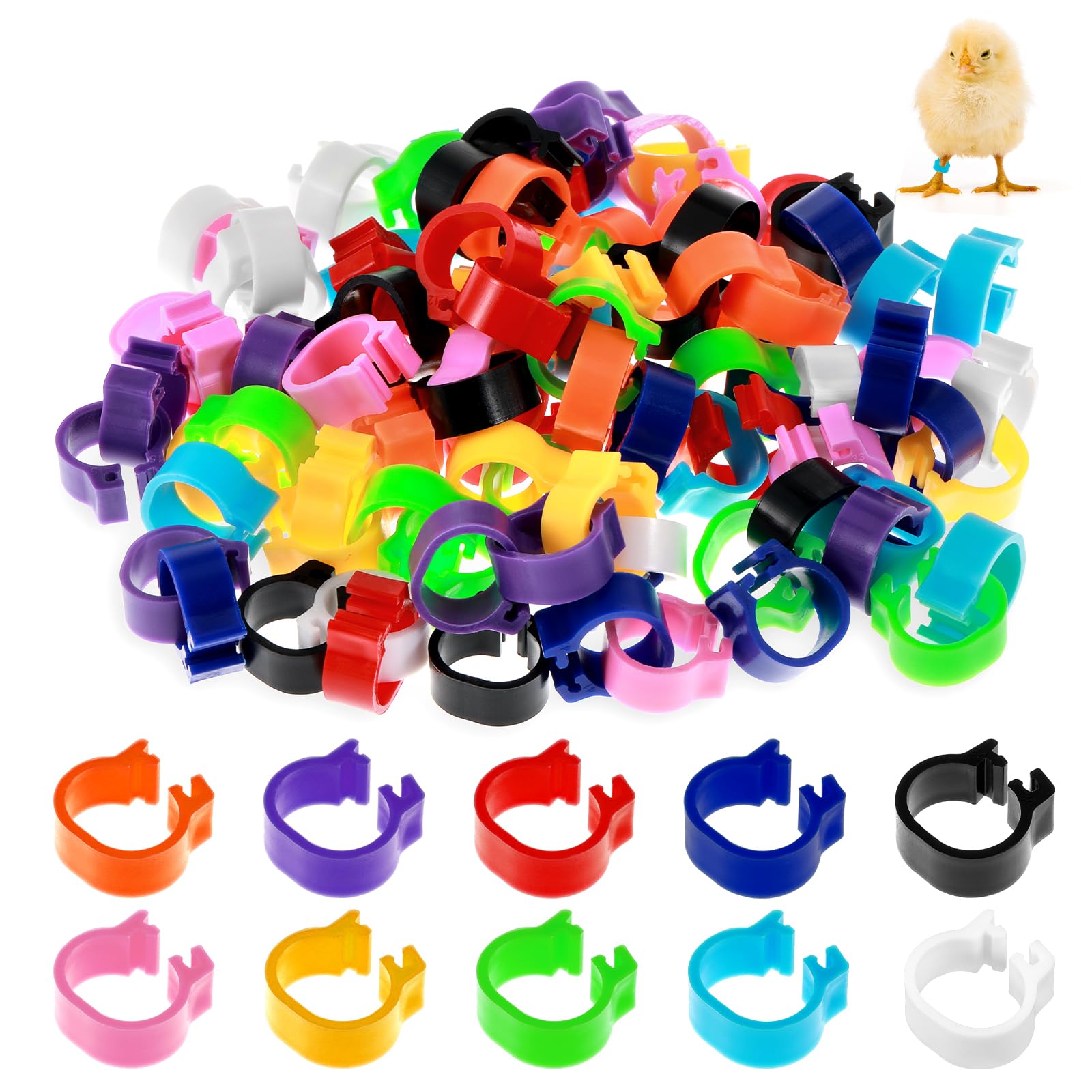 Tyqour 10mm baby poultry leg band in bright color for quick batch identification.