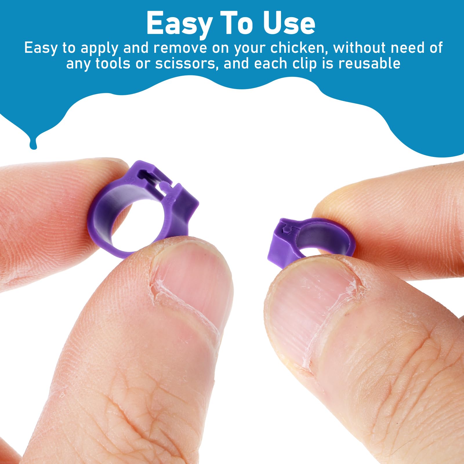 Tyqour clip-on bird leg tags show tool-free application on small birds.