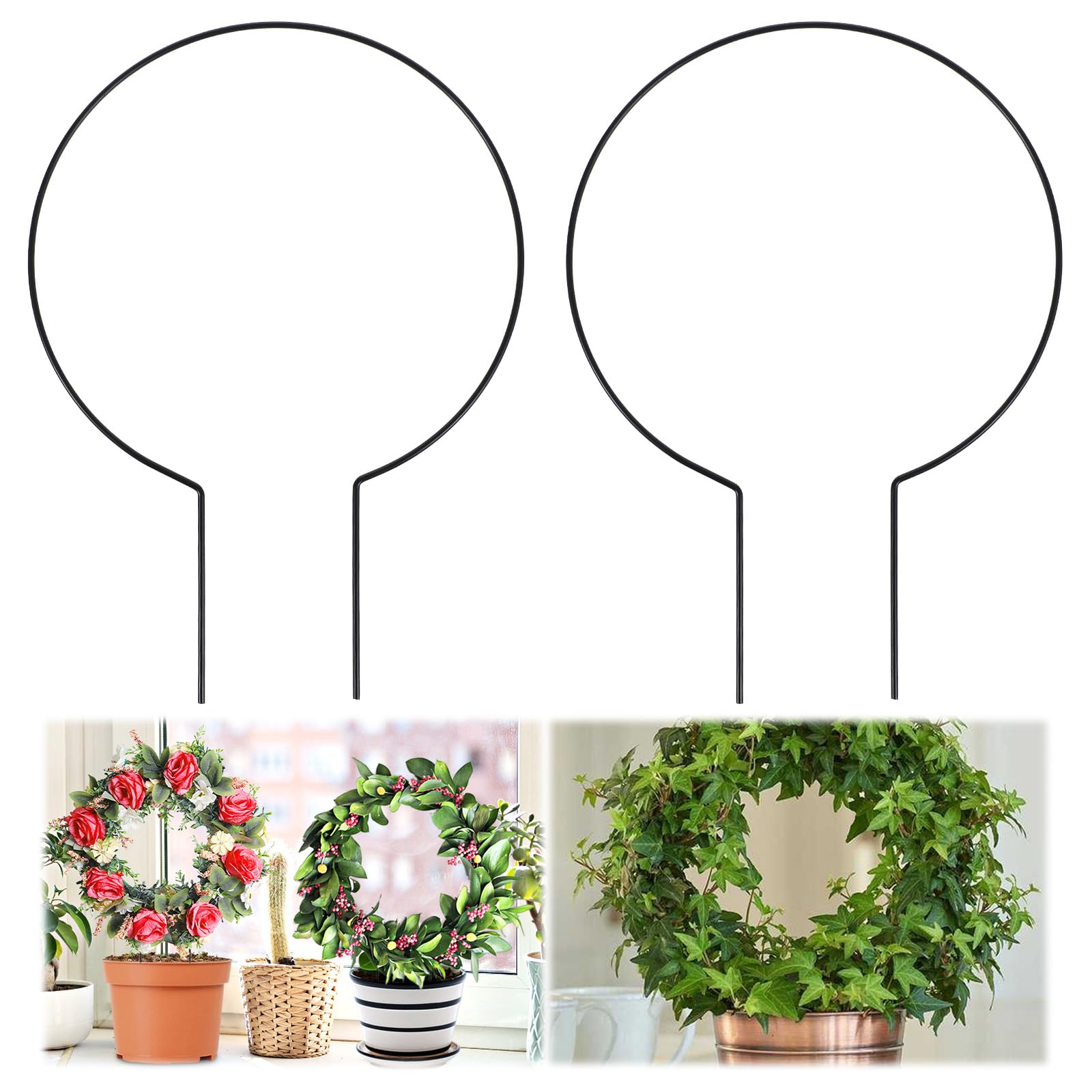 Tyqour round plant trellis 28x20cm indoors supports climbing plants for balanced growth.
