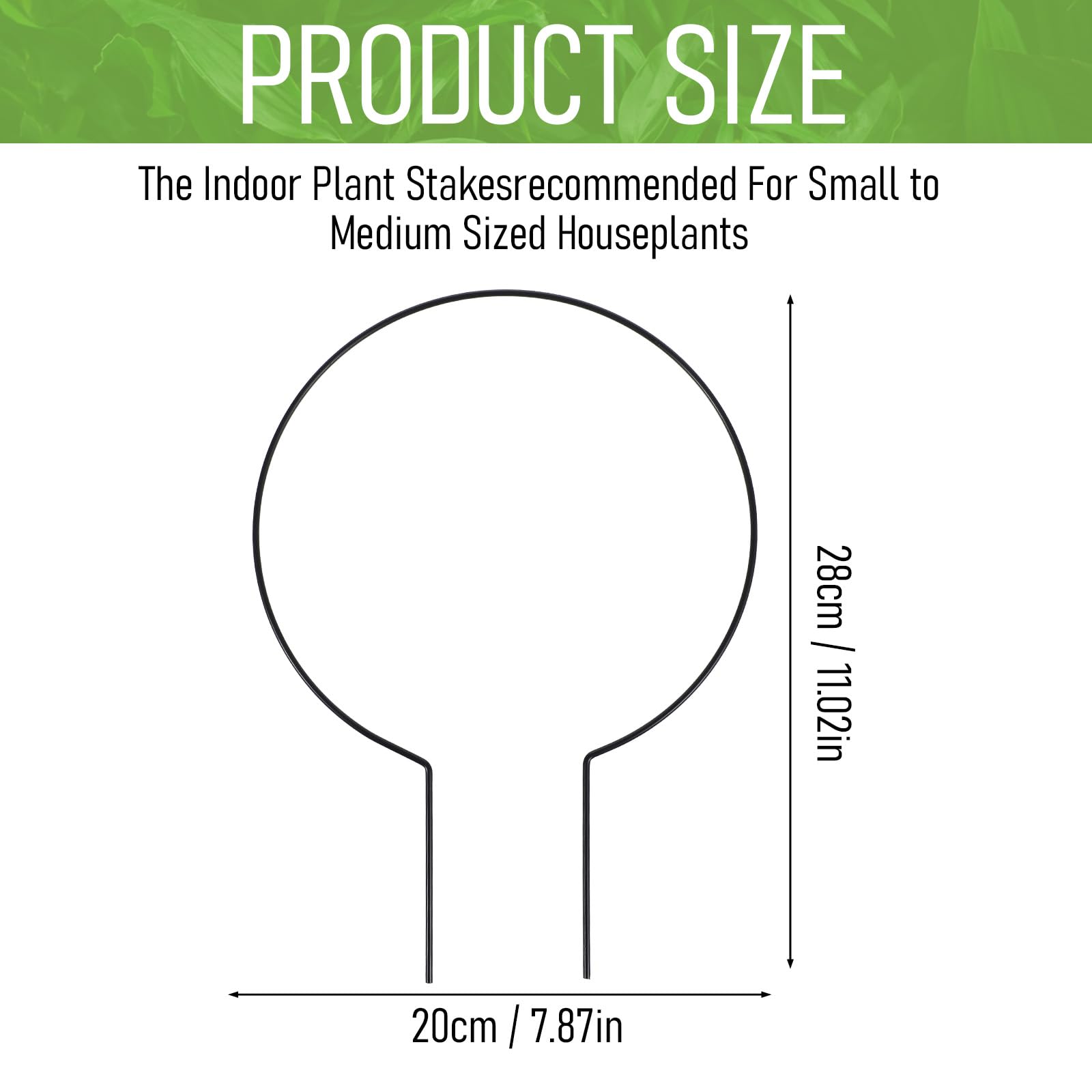 Tyqour round plant trellis indoor use supports hoya, pothos, ivy for neater growth.
