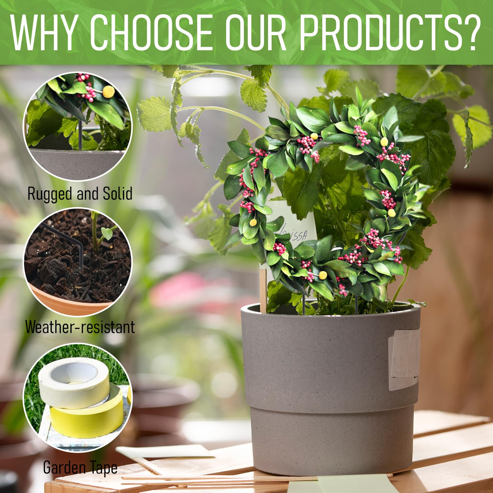 Tyqour round trellis provides sturdy support for climbing vines in pots.