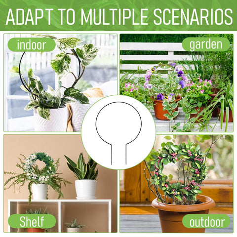 Tyqour trellis sleek black finish adds contemporary style to any plant display.