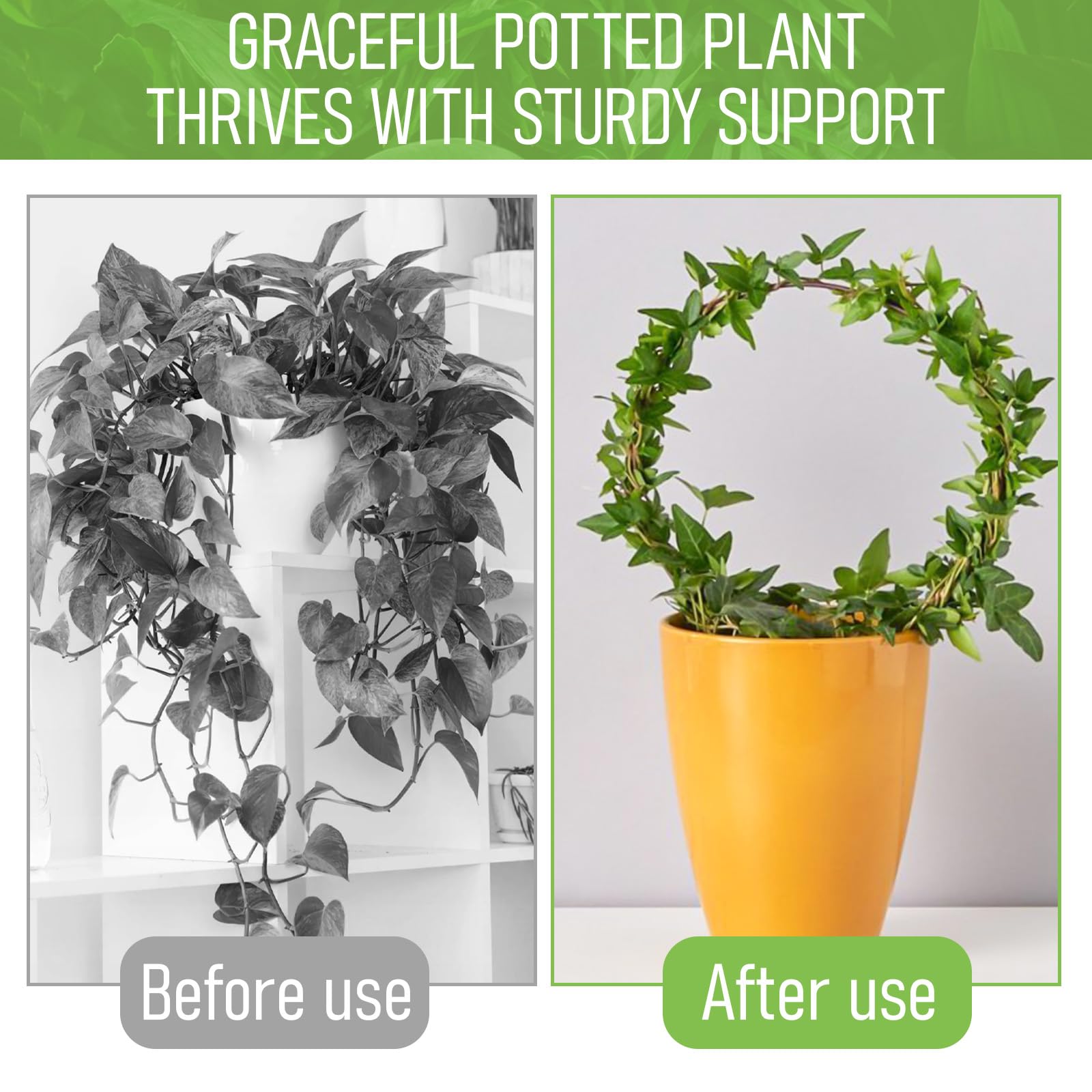 Tyqour iron construction trellis offers durable, long-lasting plant support.