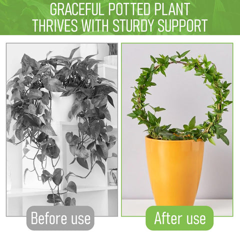 Tyqour iron construction trellis offers durable, long-lasting plant support.