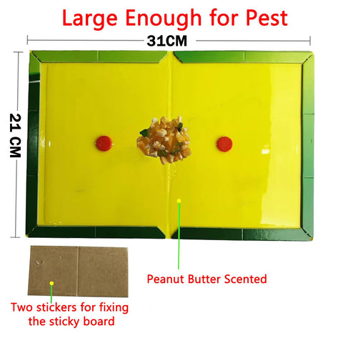 Tysonir 10 pack rat traps package highlighting value and readiness
