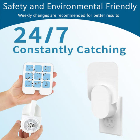 Tysonir super-sticky cards stay effective for 2–3 weeks with indoor use.