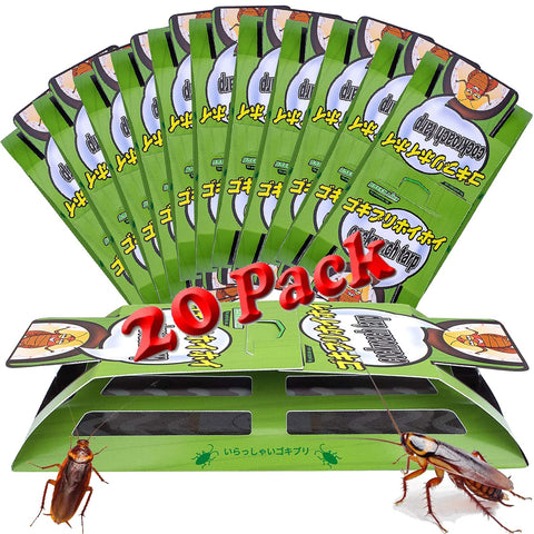 Tysonir Roach Trap showing bait-entry points for efficient indoor control