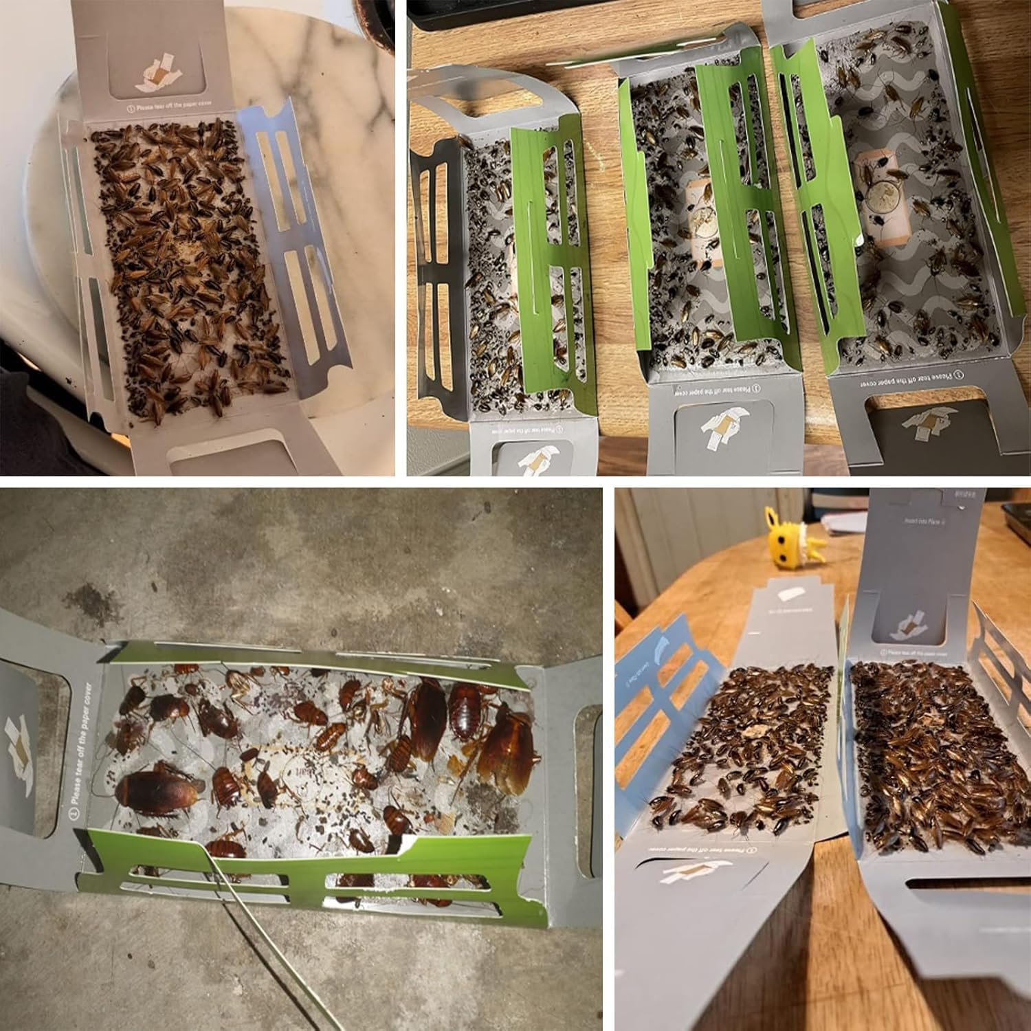 Tysonir Roach Traps front view showing compact pest control device