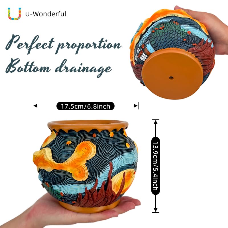 U WONDERFUL starry sky pot suited for indoor-outdoor display and easy care.