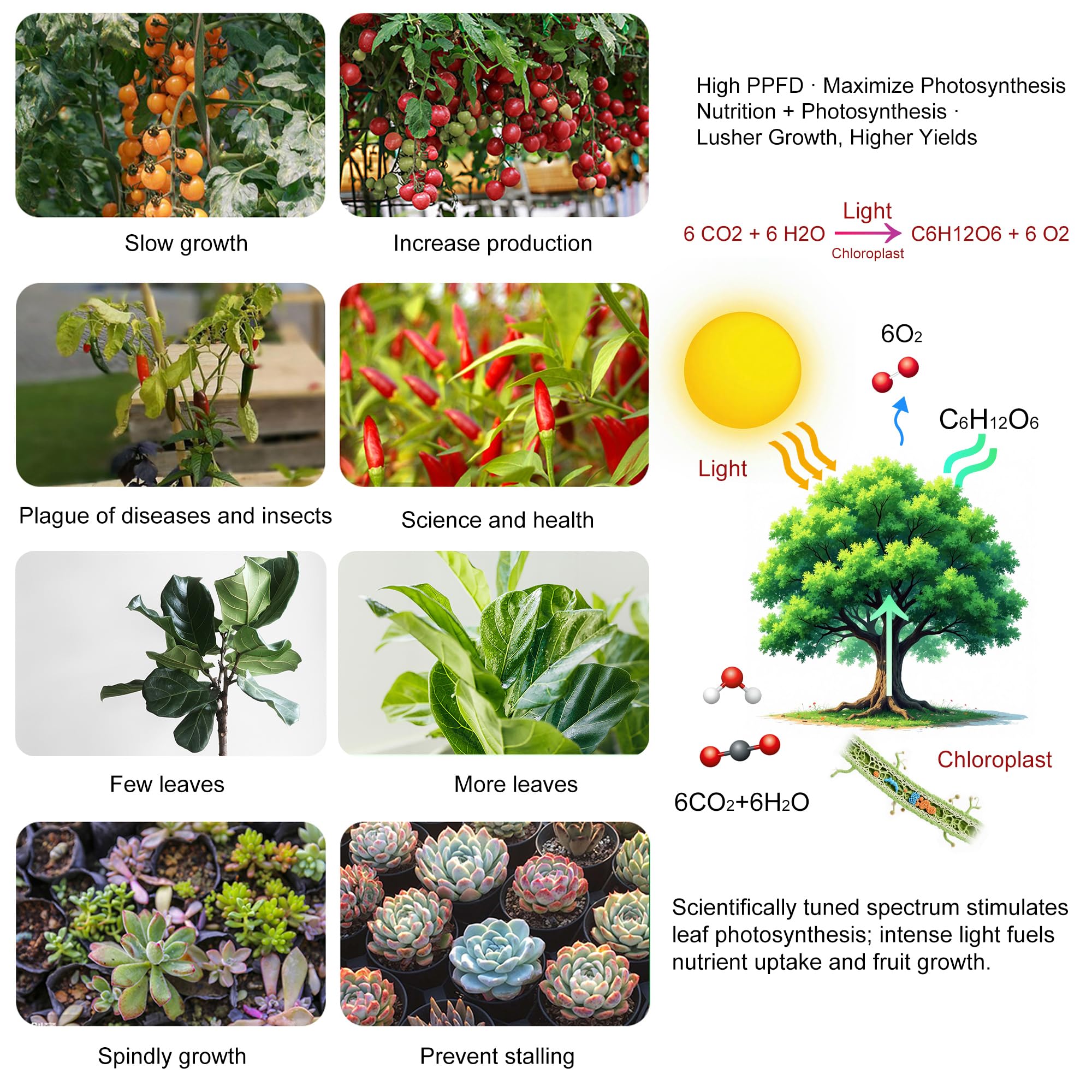 Uallhome LED grow light panel timer control emphasizes automated care