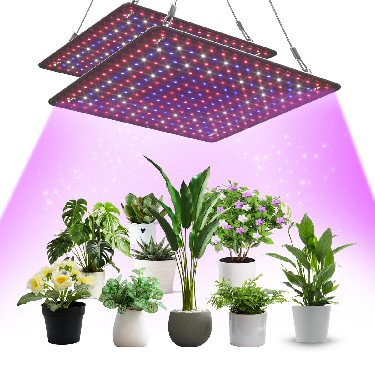 Uallhome LED grow light panel front view showing two-pack setup for 4x4ft tents