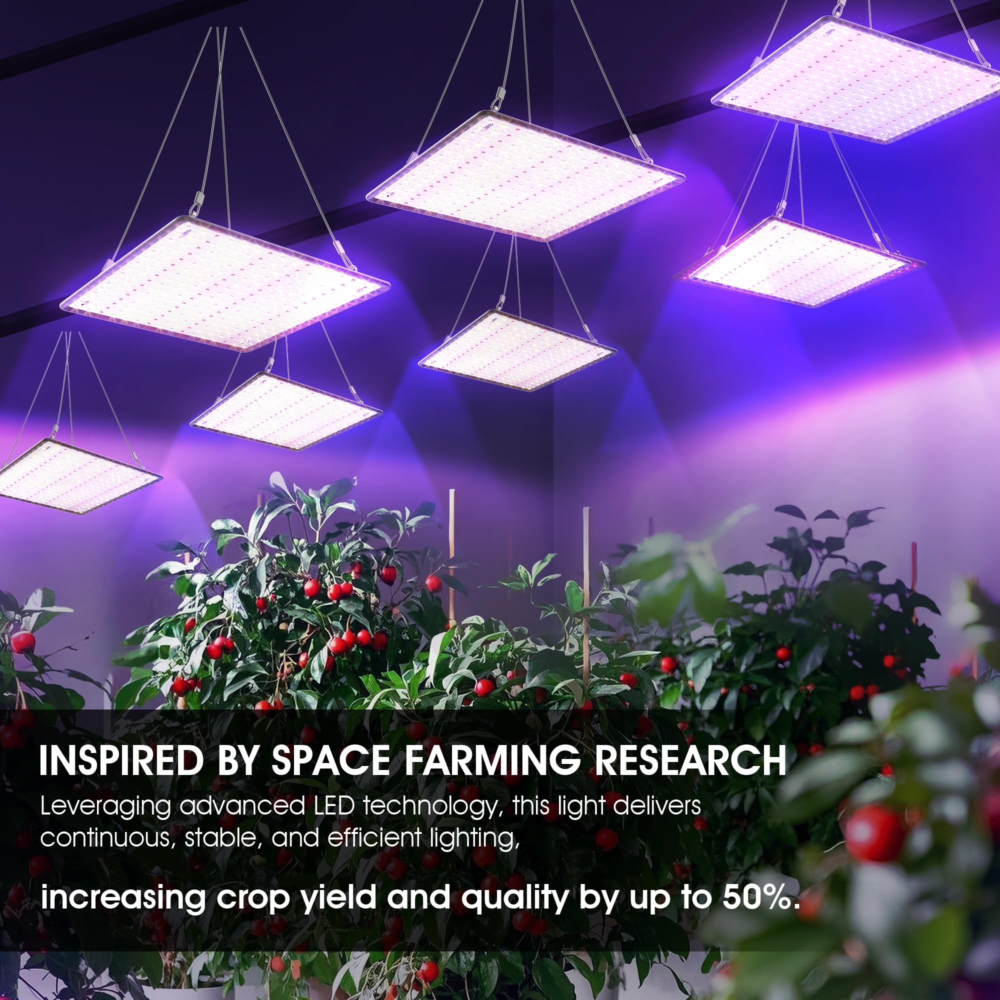 Low-heat LED technology image emphasizing cooler operation.