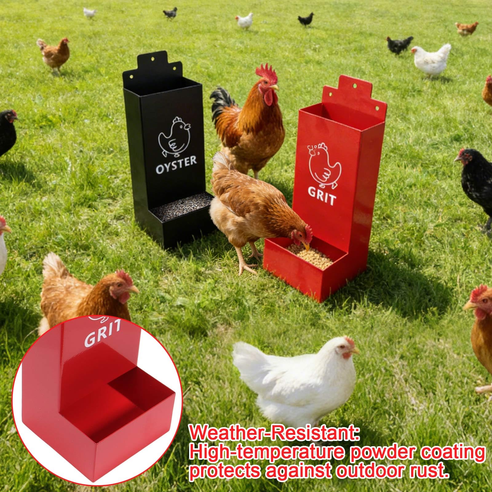 Compact 2-pack setup fits small to medium coops without crowding.