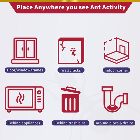 Ubalun complete ant control for a quieter, cleaner home.