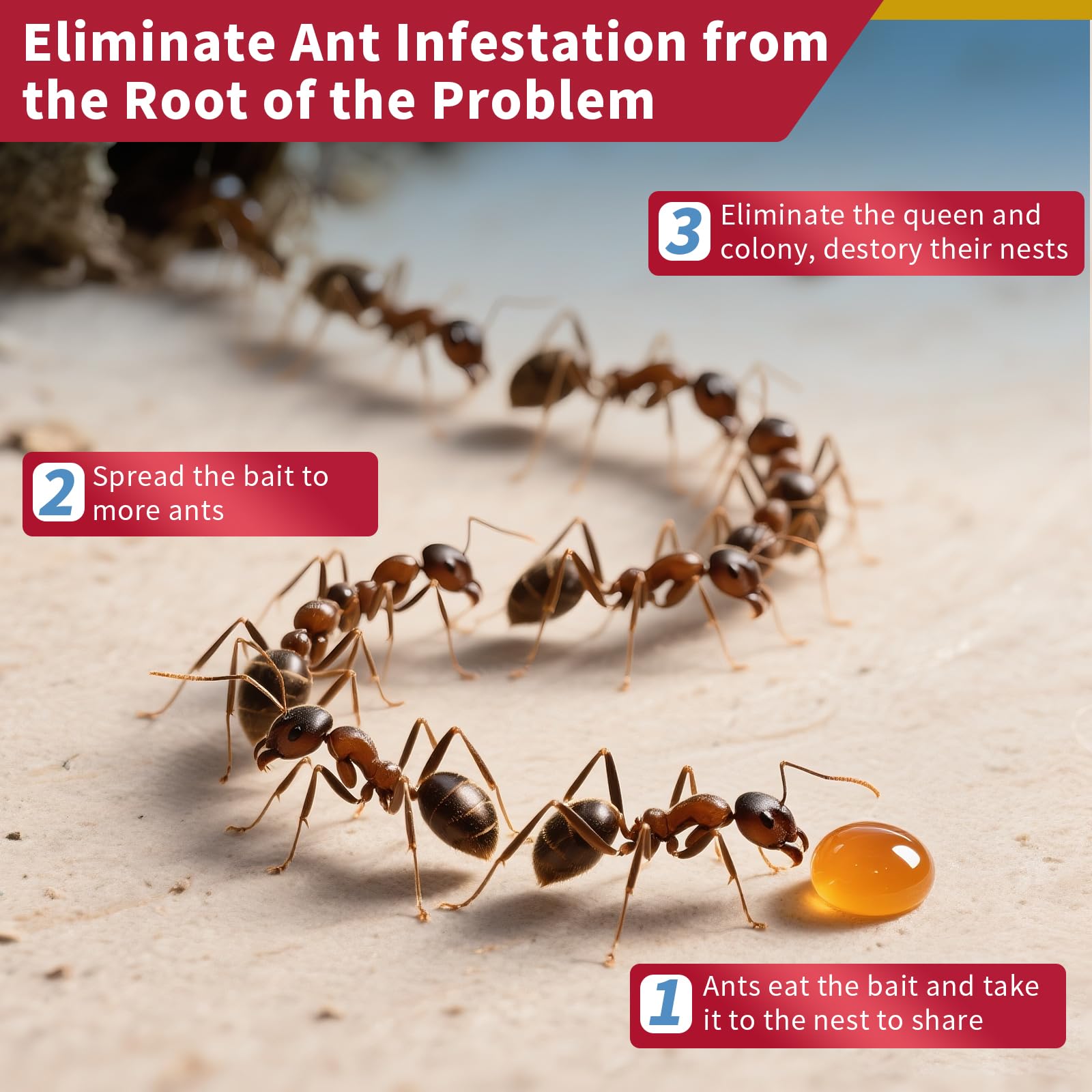 Ubalun indoor-outdoor ant control for seamless home protection.