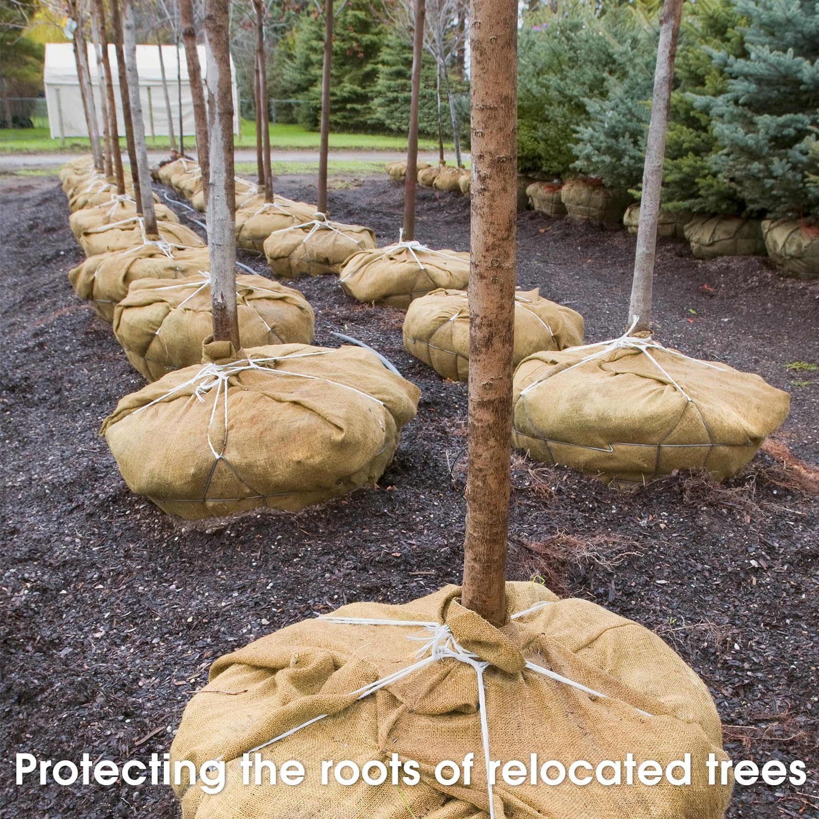 UBCGOTT Gardening Burlap Roll outdoor use image ideal for plant wraps and supports.