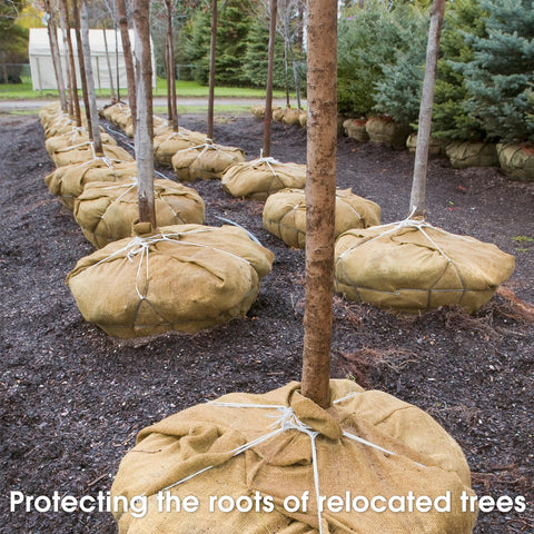 UBCGOTT Gardening Burlap Roll outdoor use image ideal for plant wraps and supports.