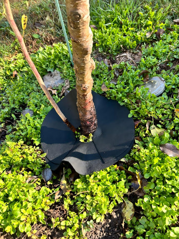 UCandy mulch ring for garden and landscape, suitable for various settings.