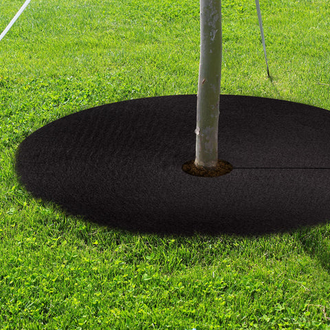 UCandy tree base protection around the trunk keeps it safe from mower contact.