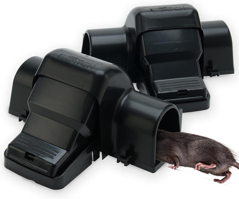 UCatch Rat Trap front view with dual-entry design for efficient capture.