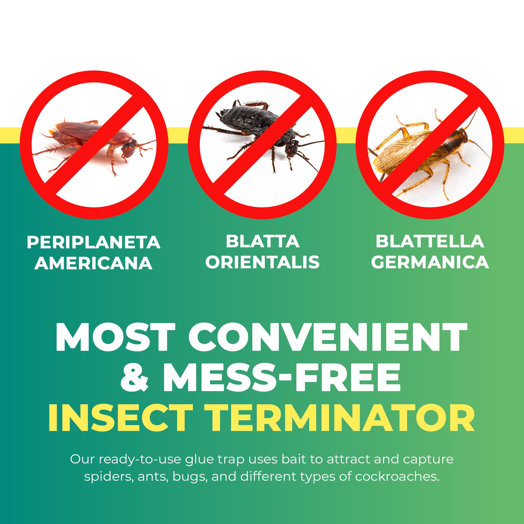 UCatch Roach Trap chemical-free design for safe home use around family activities.