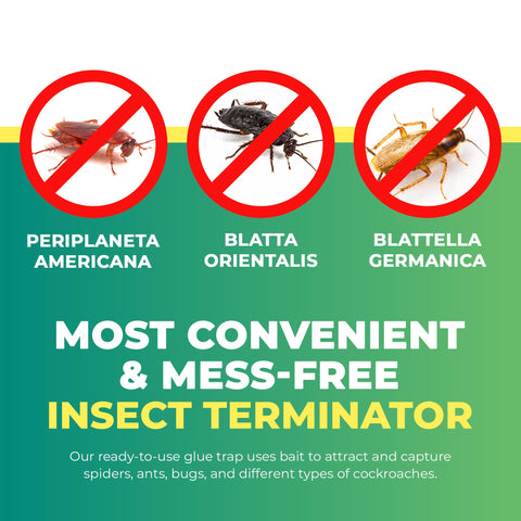 UCatch Roach Trap chemical-free design for safe home use around family activities.