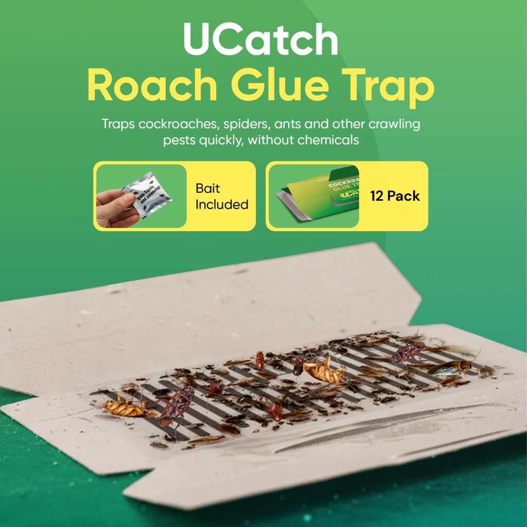 Close-up of UCatch Roach Trap glue surface highlighting the strong adhesive.