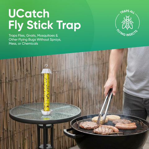 UCatch indoor setup near plants reduces flying insects.