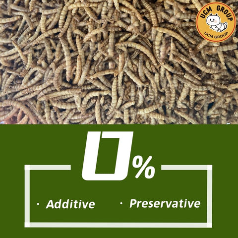 UCM GROUP sealed bag of mealworms preserving freshness for storage and use.