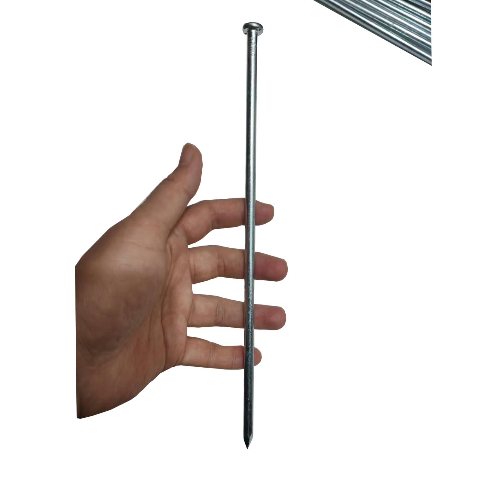 UEUORF 10-inch spikes securing turf edging against wind and moisture.