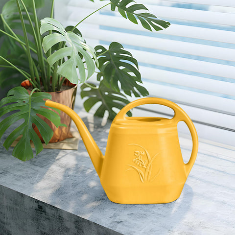 UFANME Watering Can 1/2 gallon capacity ideal for small pots.