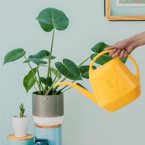 UFANME orange watering can on a sunny porch for outdoor tasks