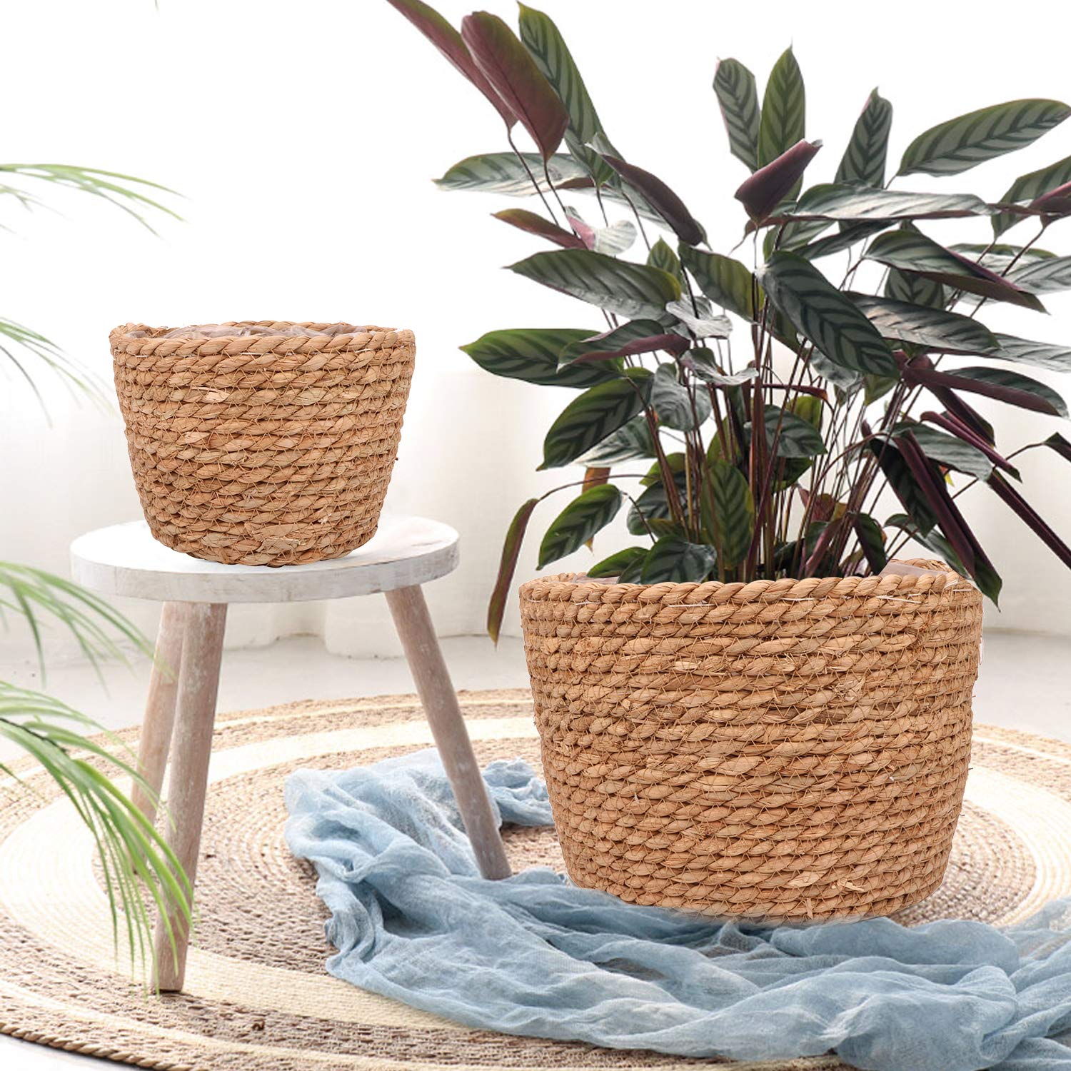 Ufrount Seagrass Planter Basket on shelf showcases versatile home organization