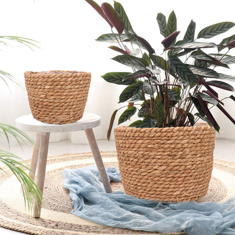 Ufrount Seagrass Planter Basket on shelf showcases versatile home organization