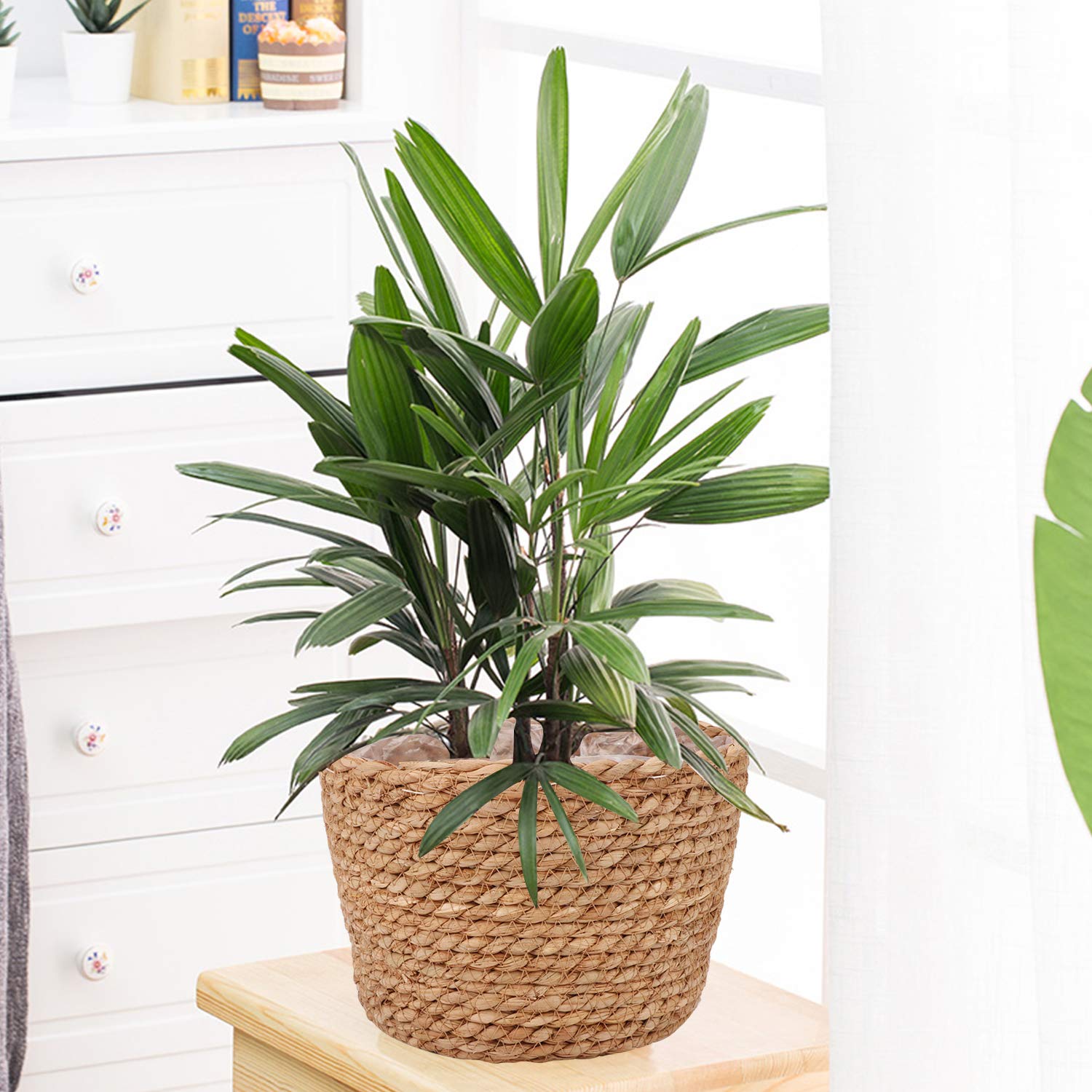 Ufrount Seagrass Planter Basket compact storage for cosmetics or small items