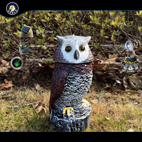 Ugold owl head rotates with motion detection and glowing eyes