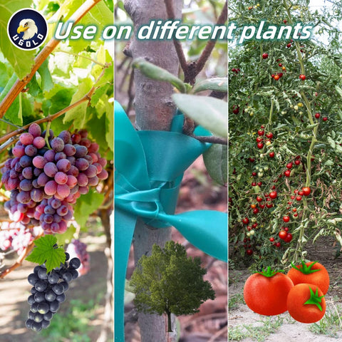 Ugold tape for tomatoes, grapes and trees offers non-adhesive, adjustable fastening.
