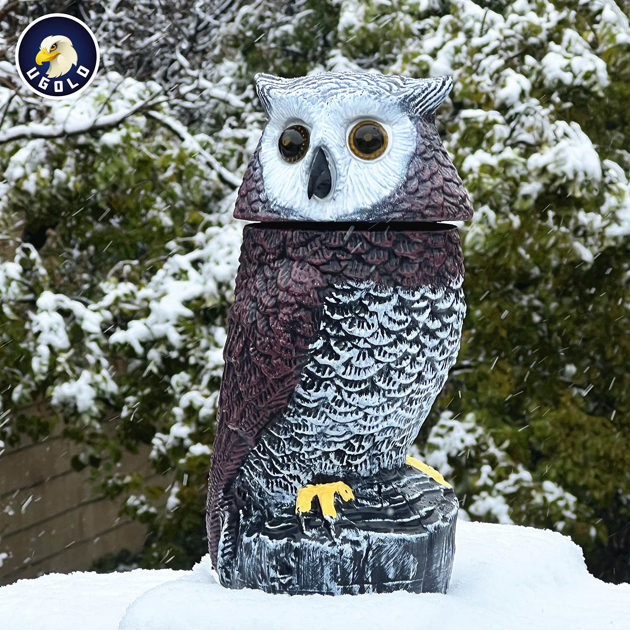 Ugold weatherproof owl withstands rain and snow for outdoor use