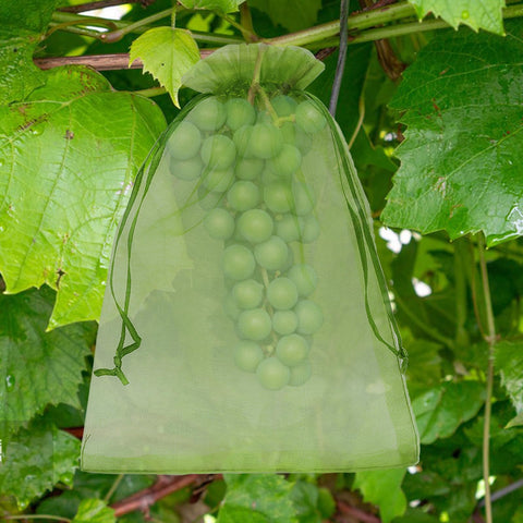 Uigidori 100-pack fruit bags ready for peaches, tomatoes, and more
