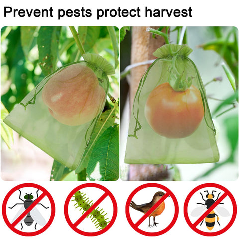 Uigidori reusable bag highlights eco-friendly, lightweight construction for frequent harvests