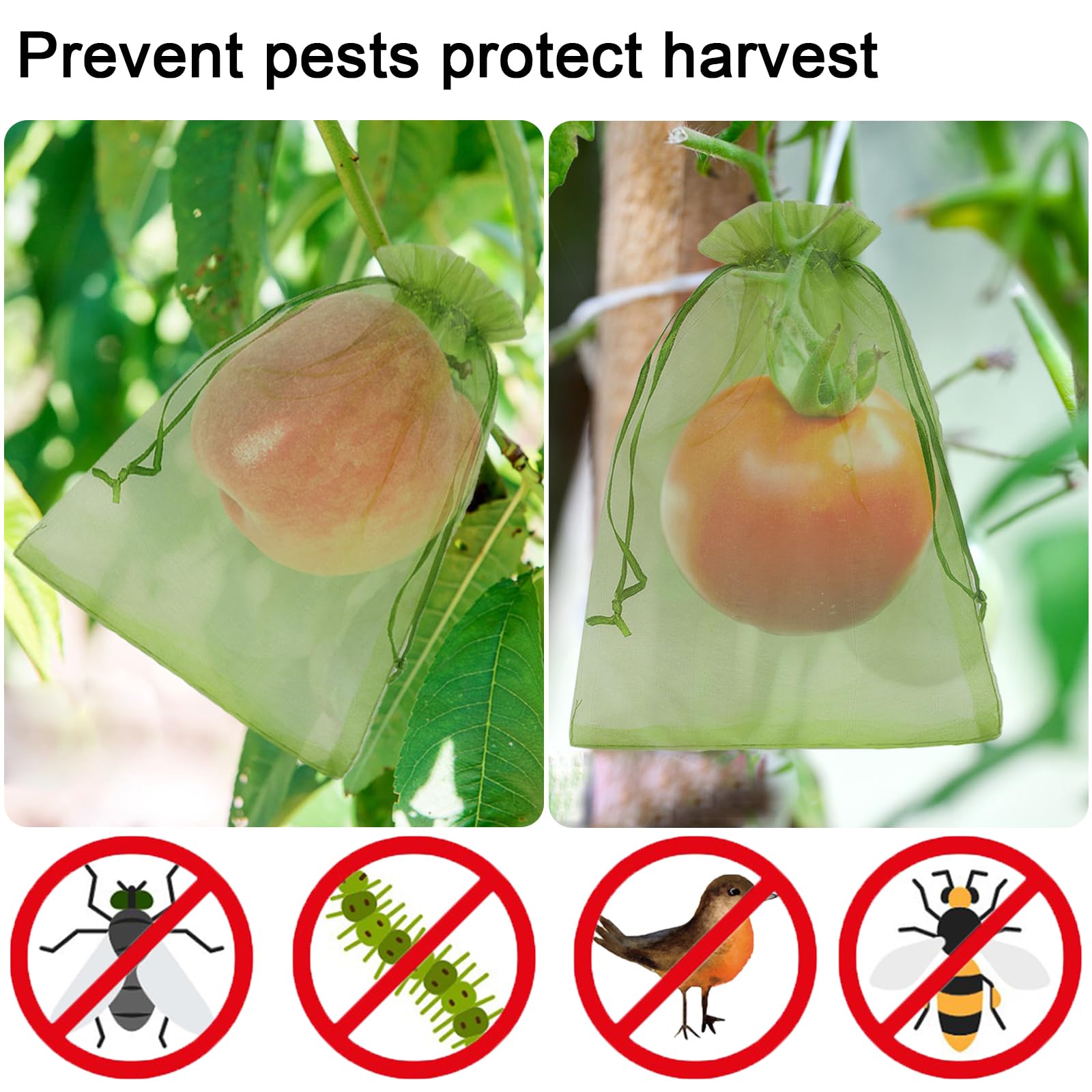 Green mesh bags on plants show airflow and coverage