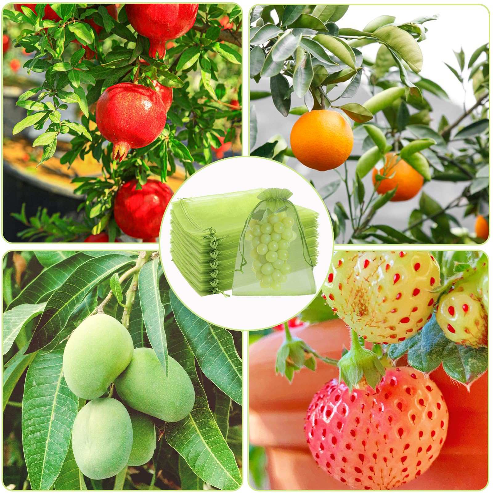 Uigidori pest barrier bags protecting vegetables and fruit in garden