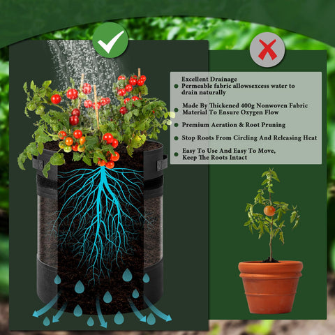UJG grow bag with blackout cloth and velcro for light control.